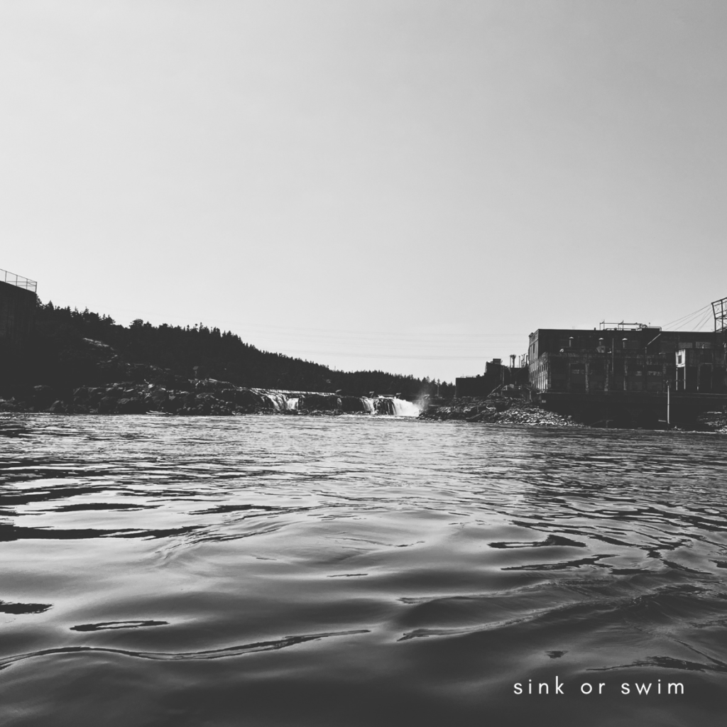 Song Of The Week: The Adio Sequence – Sink Or&nbsp;Swim