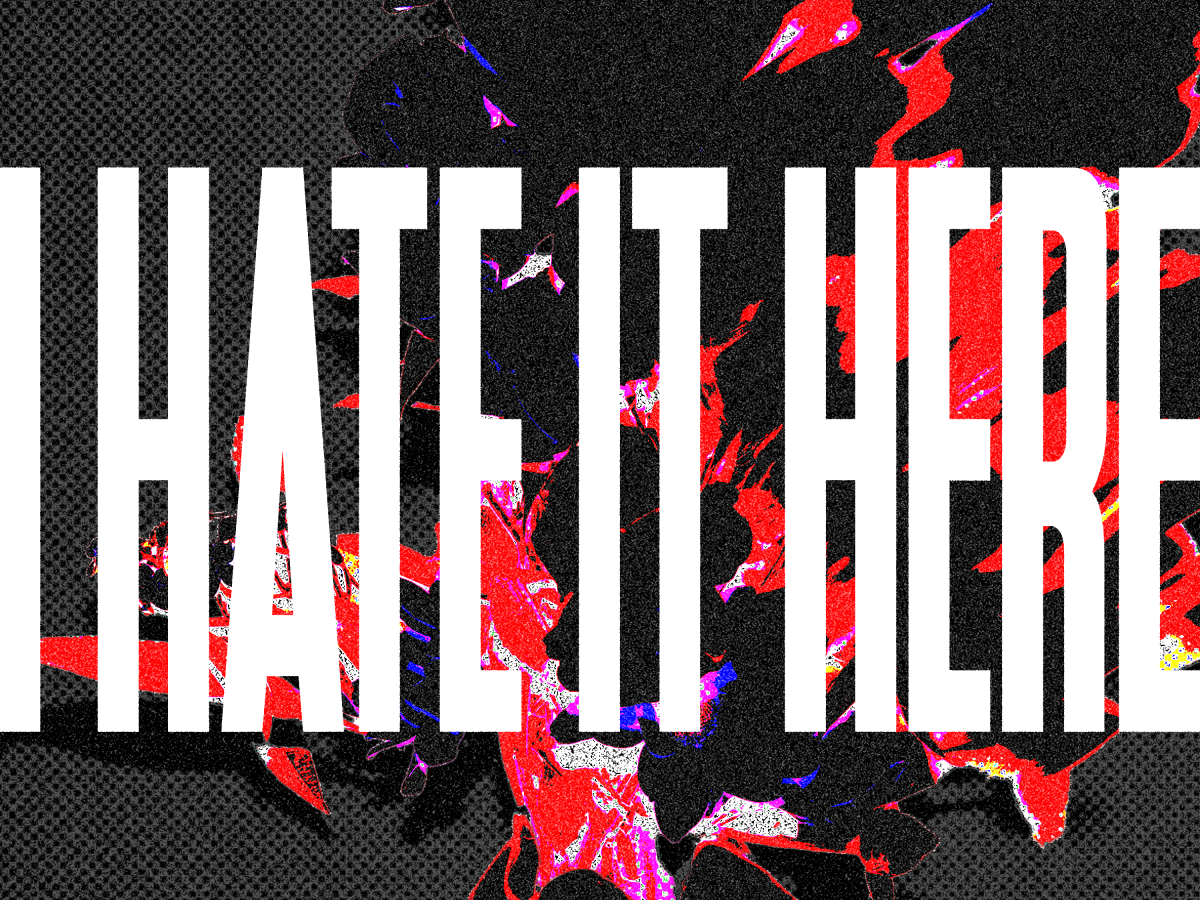 Song Of The Week – Haggard Cat – I Hate It&nbsp;Here