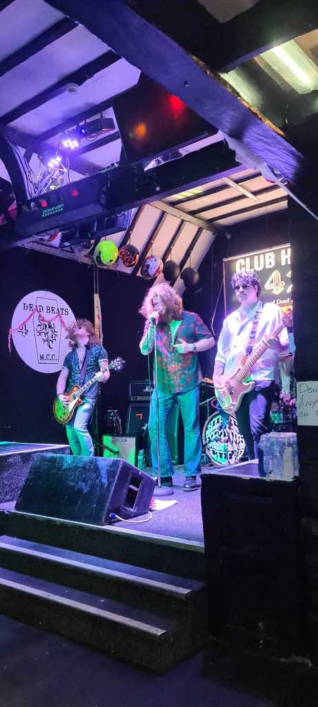 A live band performing on stage in a dimly lit venue, with three musicians in action, including a singer with curly hair and a floral shirt, a guitarist and a bassist, surrounded by vibrant stage lighting.