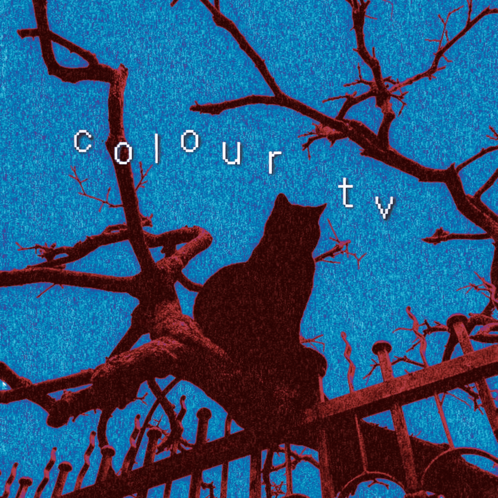 A silhouette of a cat sitting on a fence against a vibrant blue background, with branches and the text 'colour tv' in a pixelated font.